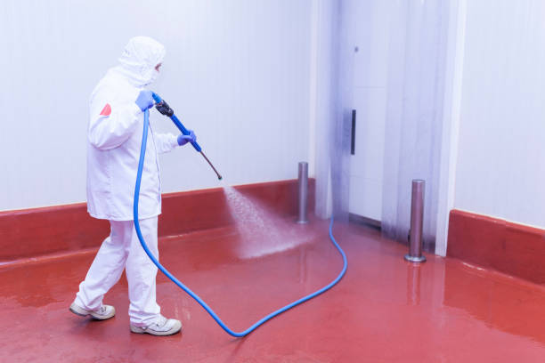 Reliable Leavenworth, WA Pressure Washing Services Solutions